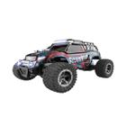 Carrinho De Controle Remoto Pick-Up Monster - Zippy Toys