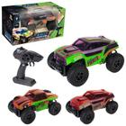 Carrinho de Controle Remoto Rally Chameleon 1:16 - Art Brink