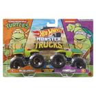 Carrinho Hot Wheels Monster Trucks 1:64 C/2 FYJ64 Sortido Mattel