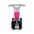 Carrinho Sem Pedal Balance BikeBaby - Calesita