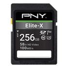 Cartão de Memória Flash Elite-X 256GB PNY - 4K UHD, Full HD, 100MB/s