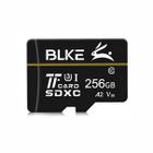 Cartão de Memória Micro SDXC BLKE 256GB CL10 A2