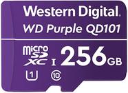 Cartão Micro SD 256GB 128TBW p/ Segurança Eletrônica