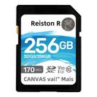 Cartão SD Kingston de Alta Velocidade (64GB a 512GB) - U3, V30, C10 - Até 170MB/s