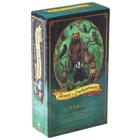 Cartas de tarô Rider Forest Of Enchantment Versão em inglês - Wokex