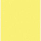 Cartolina 2 Faces 65x48 120g Amarelo 7504 Griffe - 20fl