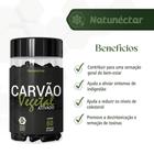 Carvão Vegetal 500mg - 60 Cápsulas