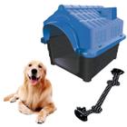Casa Cachorro Plástica N4 Azul + Brinquedo Corda Interativo