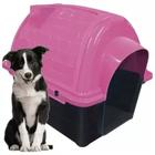 Casa Pet N6 Casinha Cães Cachorros De Plástico Furação Pet