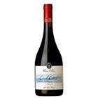 Casa Silva Cool Coast Syrah 750ml