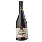 Casa Silva Terroir de Familia Reserva Viñedo de Los Andes Syrah 750 ml