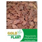 Casca de Pinus natural para decoração, vasos, jardins- 700 gr - Gold Plant