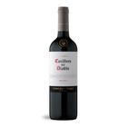 Casillero del diablo malbec 750ml - Concha y Toro