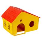 Casinha Para Hamster 6 Unidades Amarela Pet Roe Jel Plast