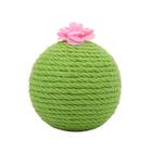 Cat Scratcher Ball ASPIRINGPET Roly-Poly Cactus com erva-dos-gatos