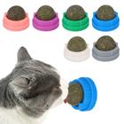 Catnip Wall Toys picidae, pacote com 4 unidades, Silvervine Catnip giratório