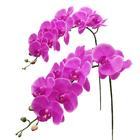 Caules artificiais de orquídeas Fnize Real Touch Latex Phalaenopsis