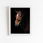 Cavalo Animais Fotografia Quadro Moldura Branca 60x40cm