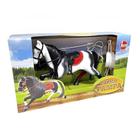 Cavalo Pampa Crina e Rabo Longos Para Pentear Com Acessórios 2461 - Líder Brinquedos - Lider Brinquedos