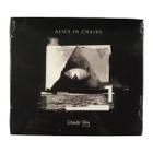 Cd alice in chains rainier fog