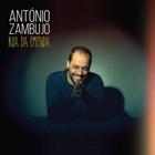 Cd António Zambujo - Rua Da Emenda