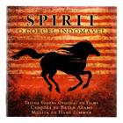 Cd Bryan Adams And Hans Zimmer Spirit: O Corcel Indomável ...