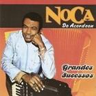 Cd Noca Do Acordeon - Grandes Sucessos