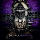 Cd Soulfly - Enslaved