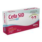 Cefa Sid Antimicrobiano Vansil - 110mg