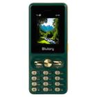 Celular Blulory A10 3 Sim Card 2500Mah Fm Bluetooth Jogos