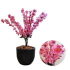 Cerejeira Artificial Buquê Rosa Com Vaso Bojo Completo - PlantaImport