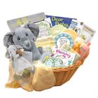 Cesta de presentes Associates Deluxe Welcome Precious Baby Basket - Gift Basket Associates