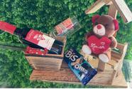 Cesta para presente com vinho e taça para namorada com urso de pelúcia