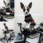 Cestinha Cadeirinha Bike Dog Para Cachorro Transporte seu cão na Bike - Altmayer Al-198