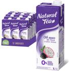 Chá Branco Natural Pitaya e Amora 1L - Sabores Brasileiros - Natural Tea