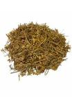 Chá de Aquiléia (Mil-Folhas, Mil em Rama) - Achillea millefolium - L. 100g