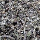 Chá de Artemisia 100gr - à granel
