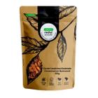 Chá De Canela Java Quebrada - Cinnamomum Burmannii - 100G - Rocha Saùde