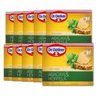 Chá Dr. Otker Abacaxi e Hortelã kit 10 caixas 100 Saquinhos - Dr. Oetker