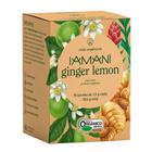 Chá Misto Iamaní Ginger Lemon Orgânico Gengibre Limão 15 sachês