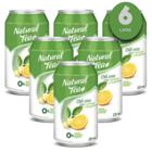 Chá Verde Com Laranja E Gengibre Natural Tea 335Ml (6 Latas)