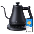 Chaleira elétrica Govee Smart WiFi de temperatura variável 0,8L