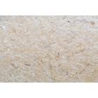 Chapa OSB 2.44x1.22x10mm ( Canteiro)