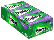 Chiclete Trident Menta Sem Açúcar Display com 12 unidades de 25,2g