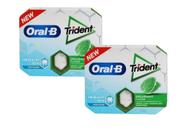 Chiclete Trident Oral-B Spearmint Sugar Free 17g - 2un - Mondelez