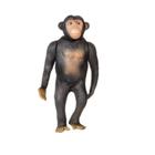 Chimpanze de vinil