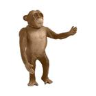 Chimpanzé de vinil ref VB304