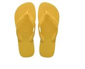 Chinelo Havaianas Top 2