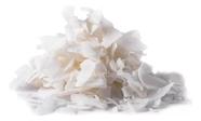 CHIPS DE COCO BRANCO 1kg - NACIONAL