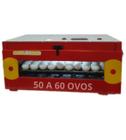 Chocadeira 50 Ovos 110V